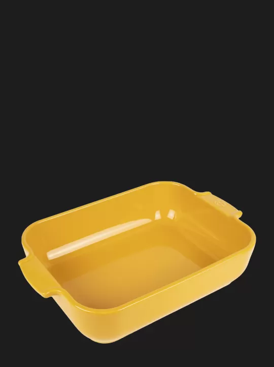 Peugeot Saveurs Auflaufformen^Appolia Gelb